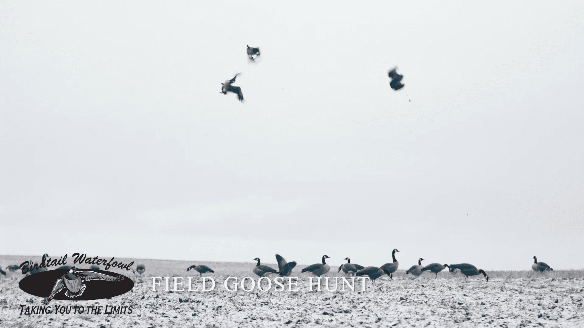 Waterfowlers' Retreat