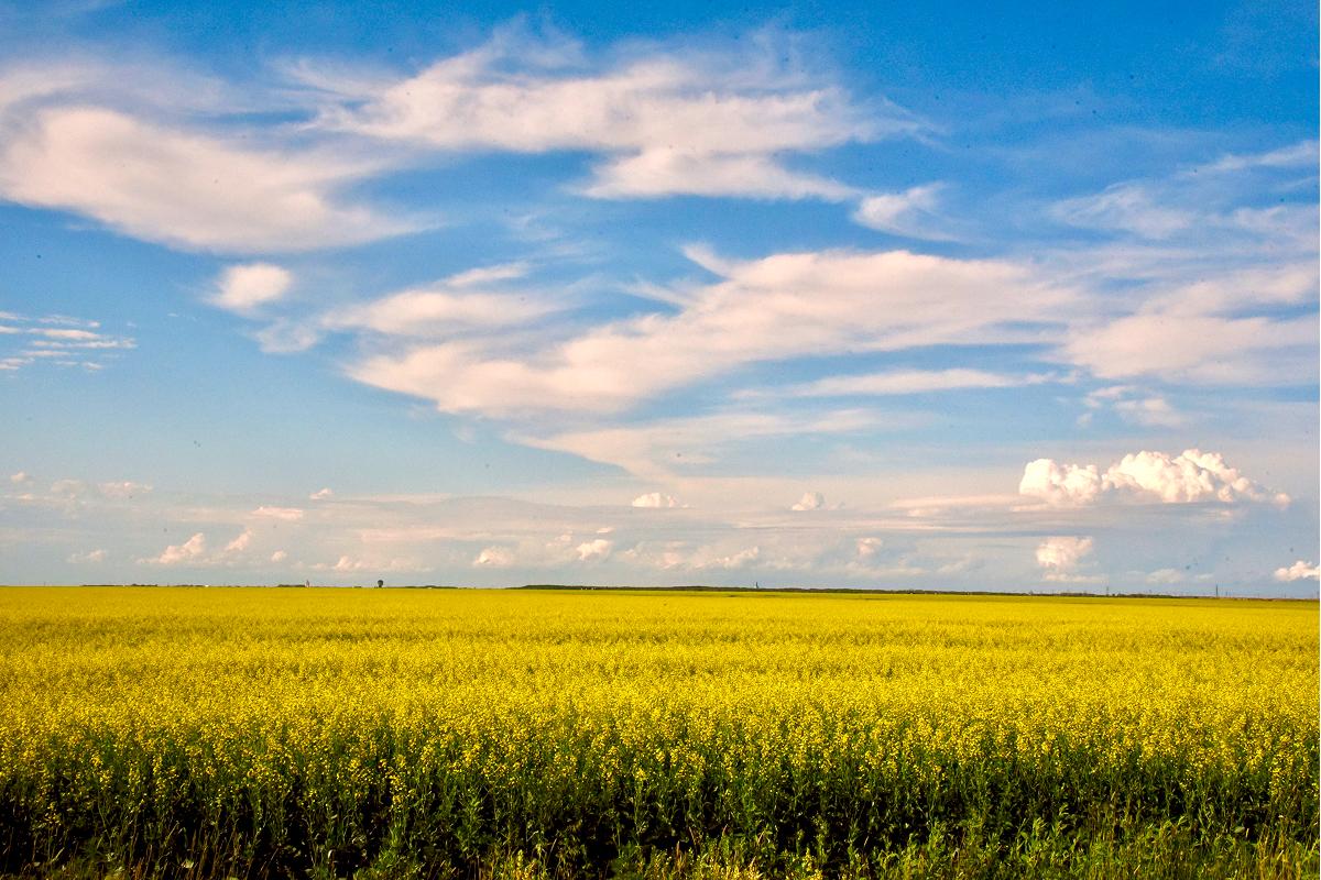 Why Bird Hunters Flock to Manitoba