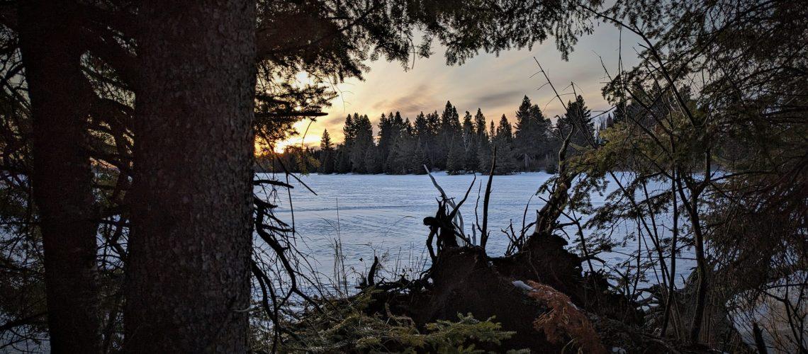 March Update and a Wolf Hunt