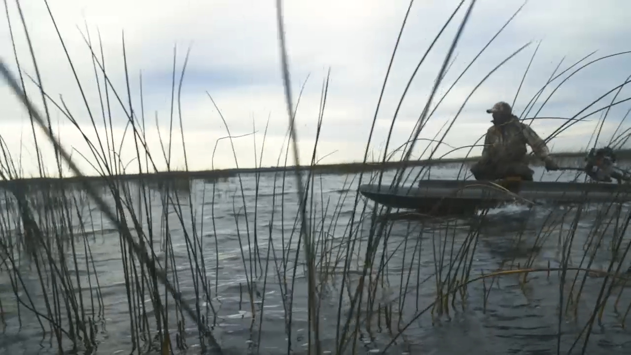 Bird hunting packages — Birdtail Waterfowl – Birdtail Waterfowl