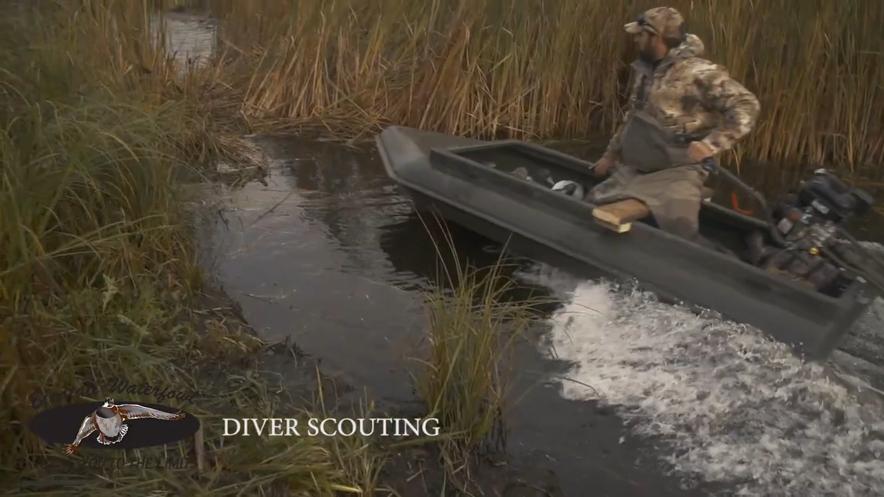 Get Set for Thrilling Diver Duck Hunting With Birdtail Waterfowl